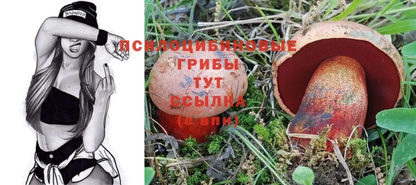 экстази Алексин