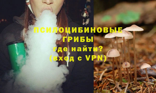 ALPHA PVP Алзамай