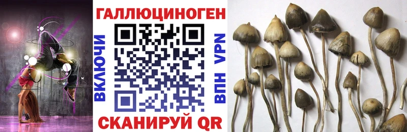 МЕГА ТОР  даркнет сайт  Арск  Псилоцибиновые грибы MAGIC MUSHROOMS 